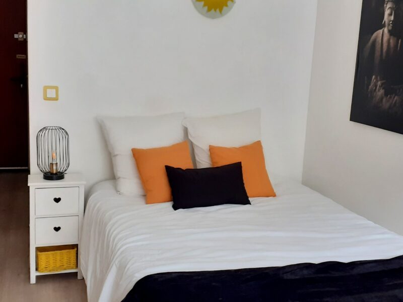 Beau Studio près des thermes